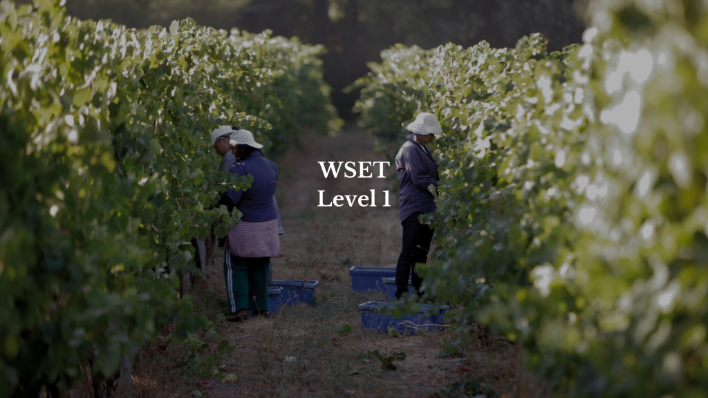 WSET Level 1 Alentejo