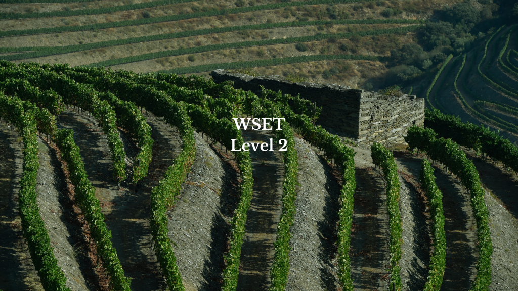 WSET 2 DOURO