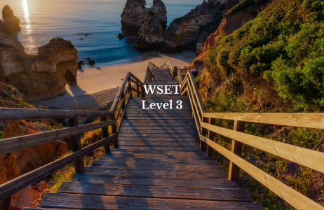 Lisbon 13/14-16/17-20/21 June 2026 WSET Level 3