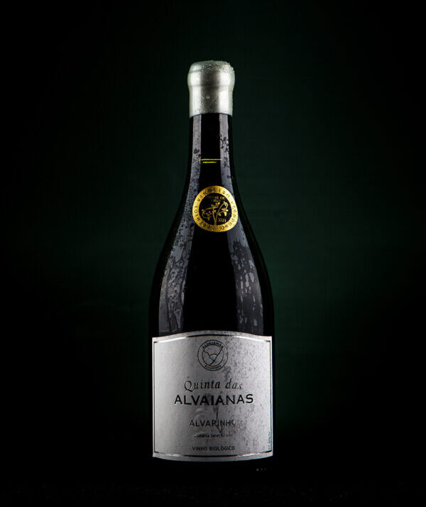 Alvaianas biological wine - perfect to pair with oysters. Christmas dinner wine food pairing with Plansel International School