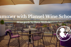 summer wine guide Ilona Akulova