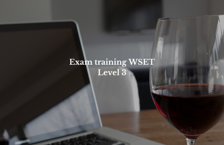 Exam Training WSET 3