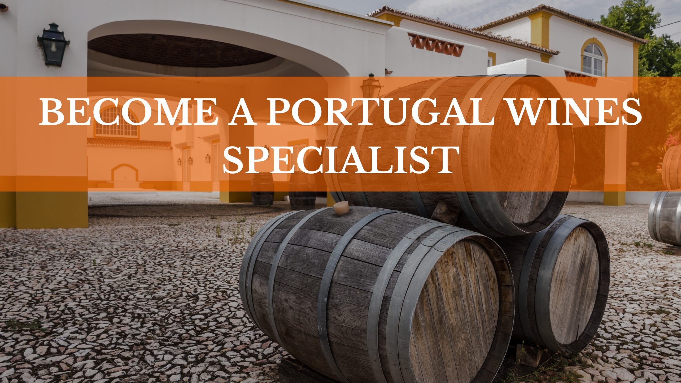 Portugal wine specialist level 1