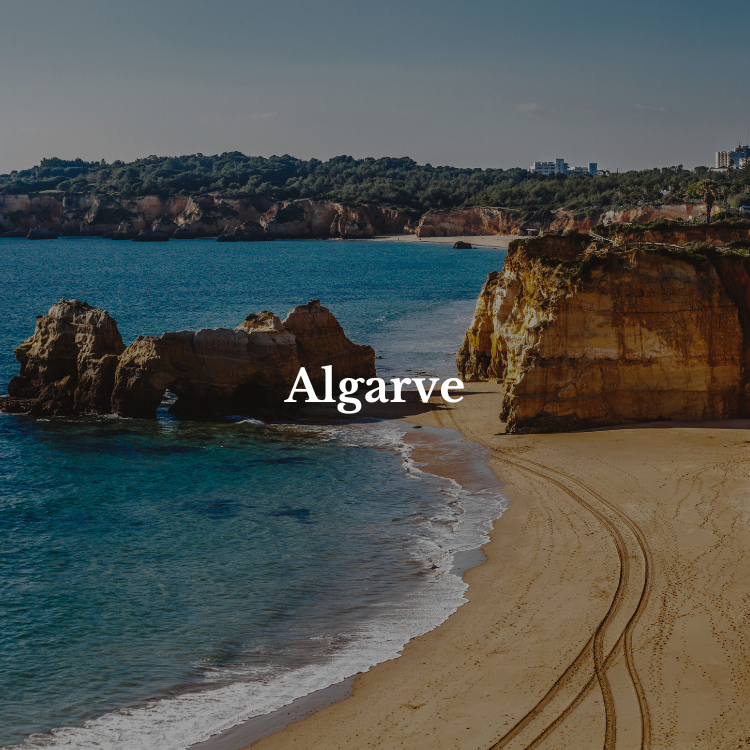 wine courses in Portugal Algarve