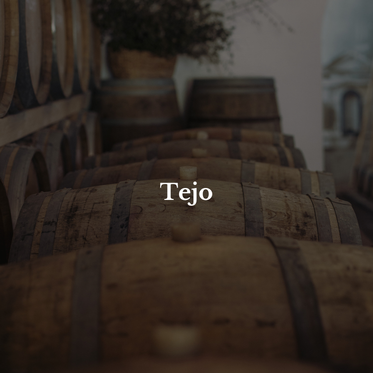 Wine courses in Portugal Tejo