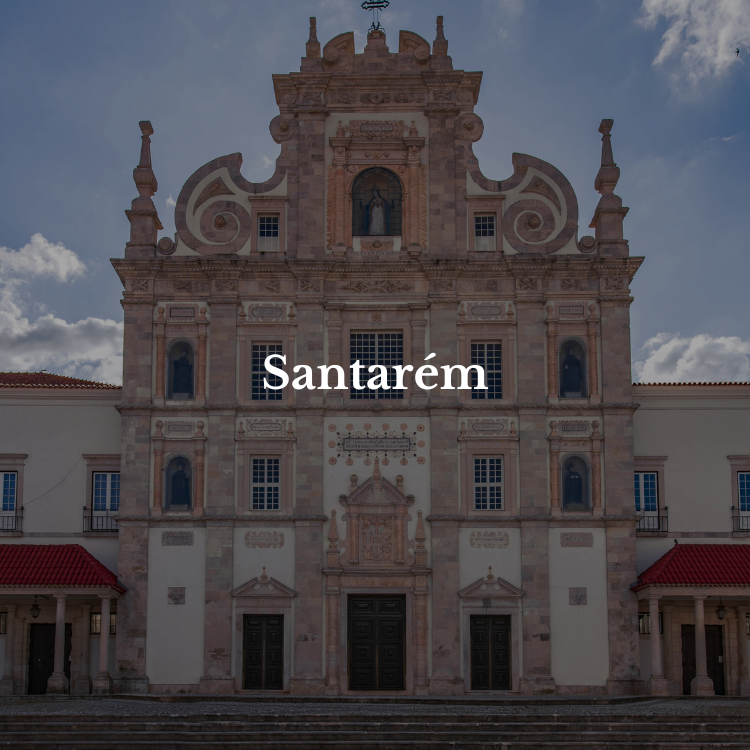 Wine courses in Santarem with PIWS