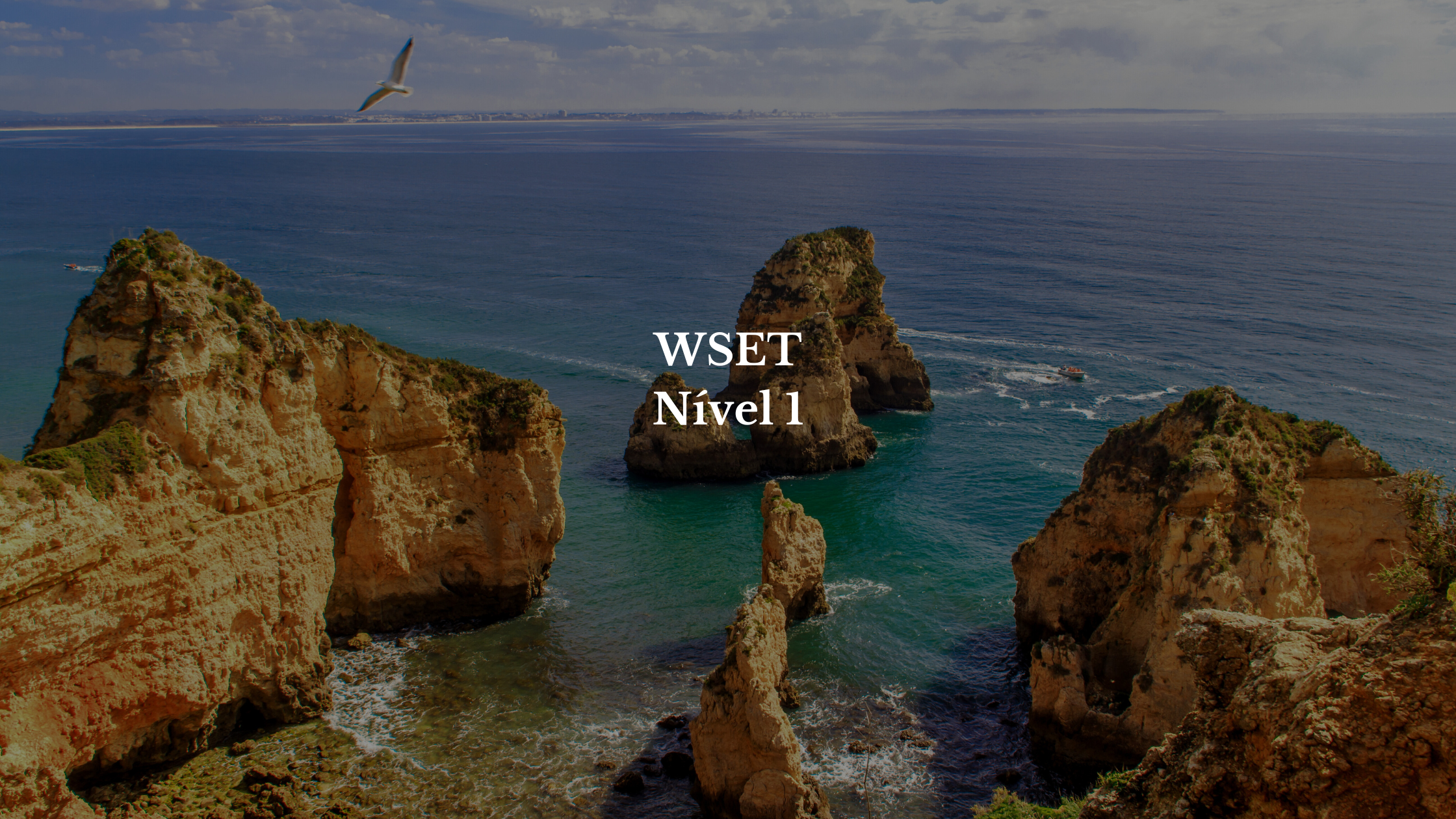 WSET 2 algarve