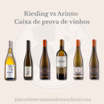 Riesling vs Arinto Caixa de prova de vinhos para casa