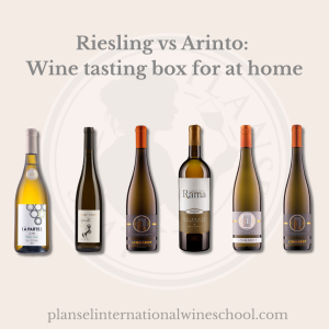 Riesling vs Arinto: Wine tasting box for at home