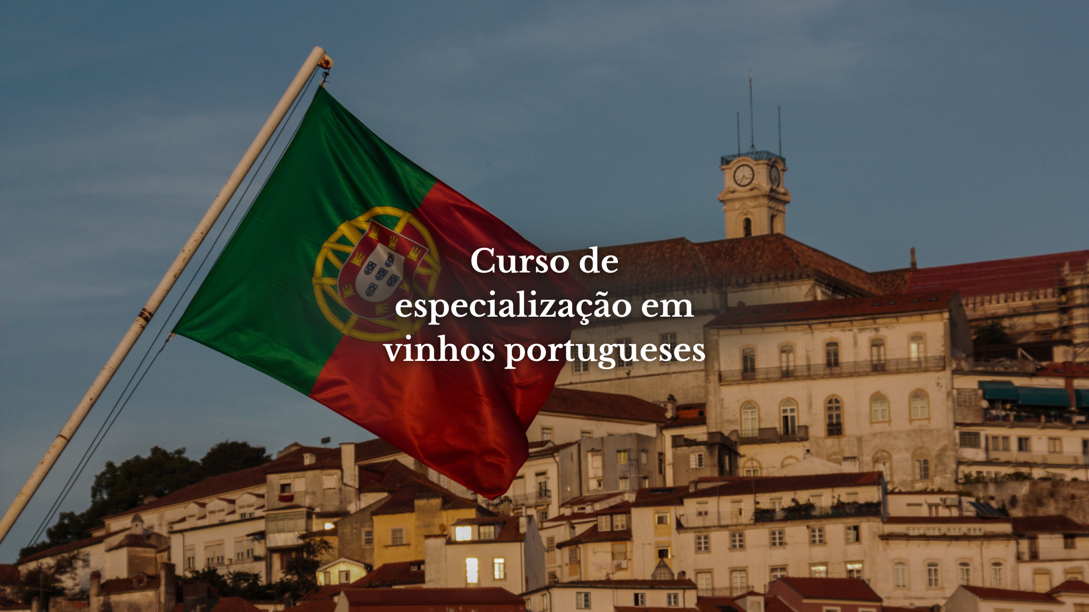 Curso de especialização em vinhos portugueses