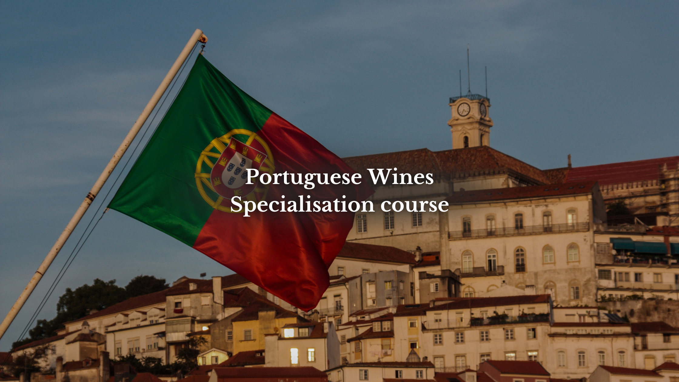 Portuguese Wines Specialisation course